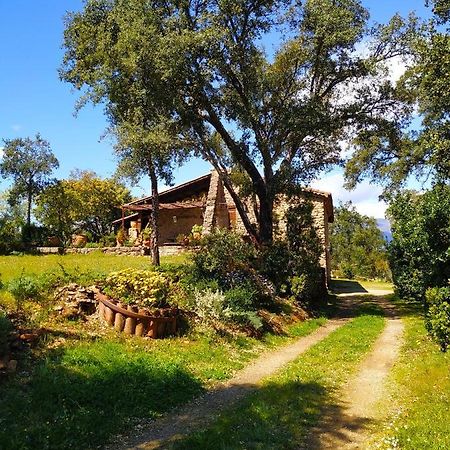 La Simona Casa Rural Perales del Puerto Exteriör bild