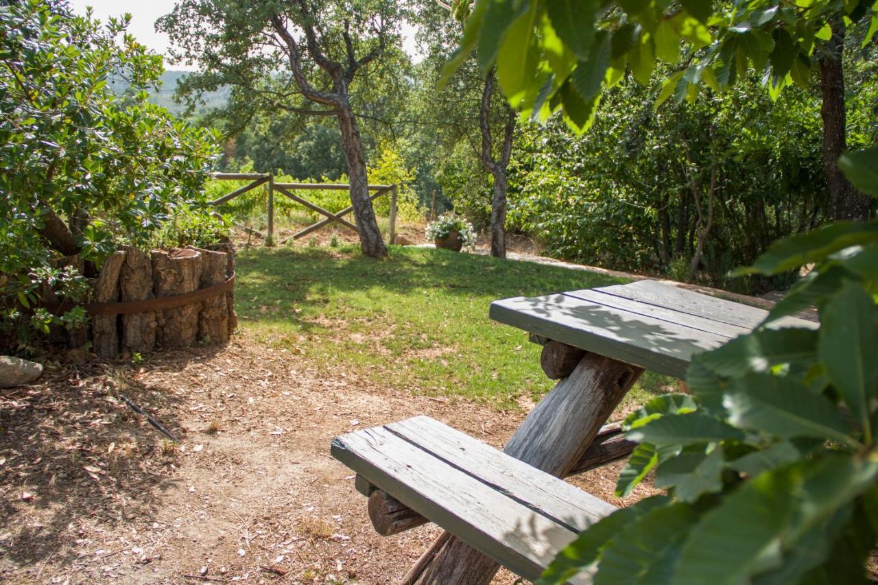 La Simona Casa Rural Perales del Puerto Exteriör bild