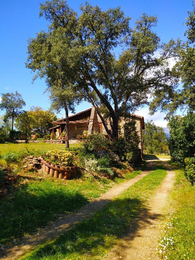 La Simona Casa Rural Perales del Puerto Exteriör bild