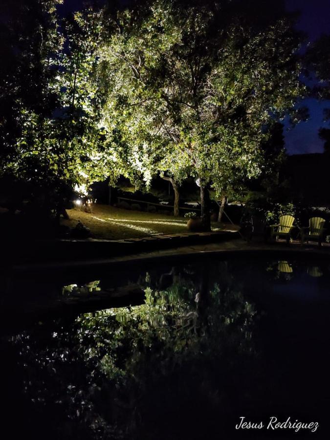 La Simona Casa Rural Perales del Puerto Exteriör bild