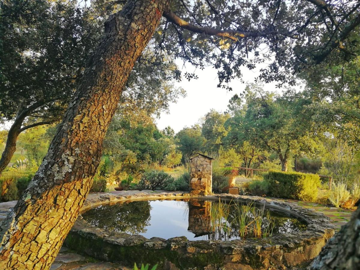 La Simona Casa Rural Perales del Puerto Exteriör bild