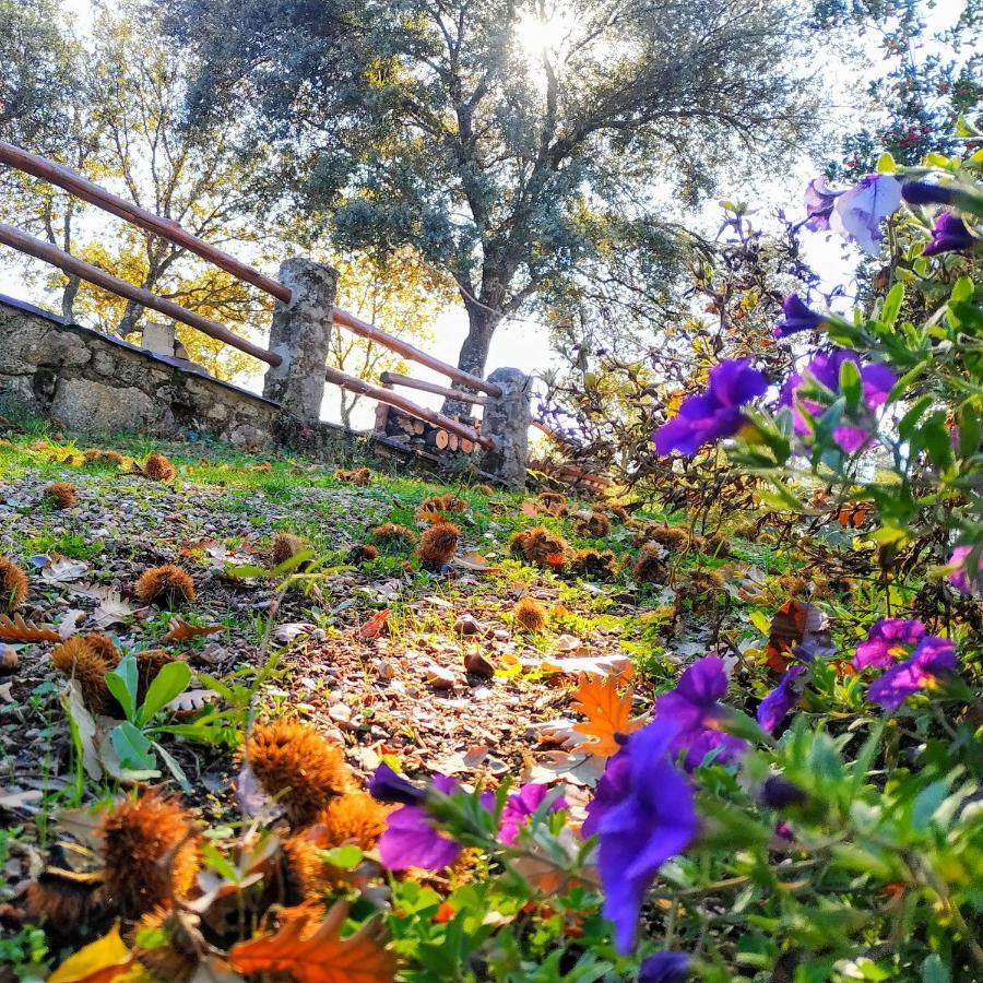 La Simona Casa Rural Perales del Puerto Exteriör bild