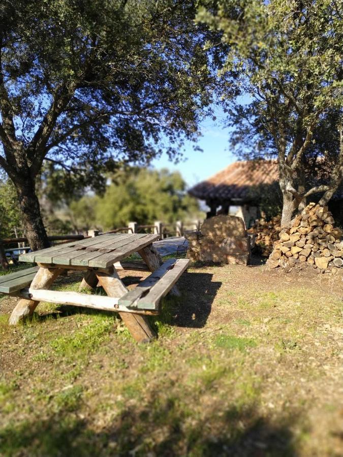 La Simona Casa Rural Perales del Puerto Exteriör bild