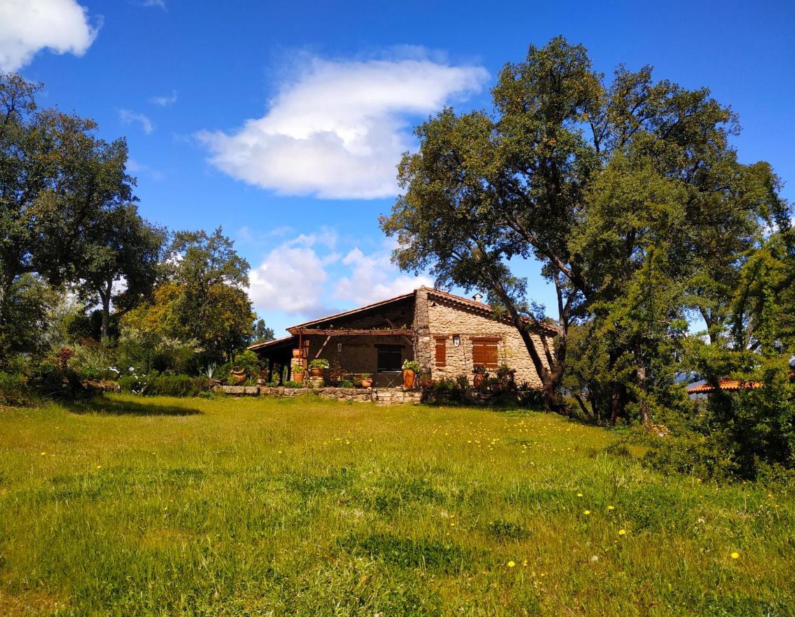 La Simona Casa Rural Perales del Puerto Exteriör bild